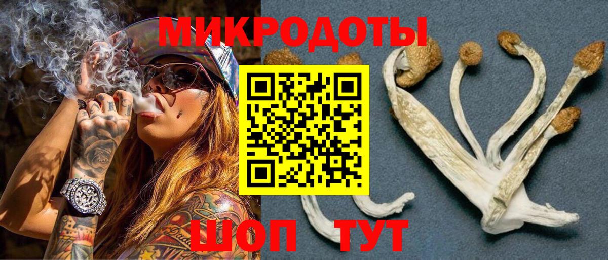 Псилоцибиновые грибы Psilocybine cubensis  Вход с VPN  Усинск 